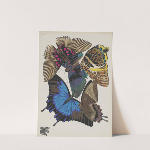 Papillons Pl.16 (1920) by Emile-Allain Séguy
