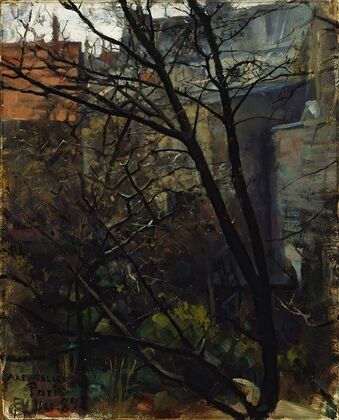Parisian backyard