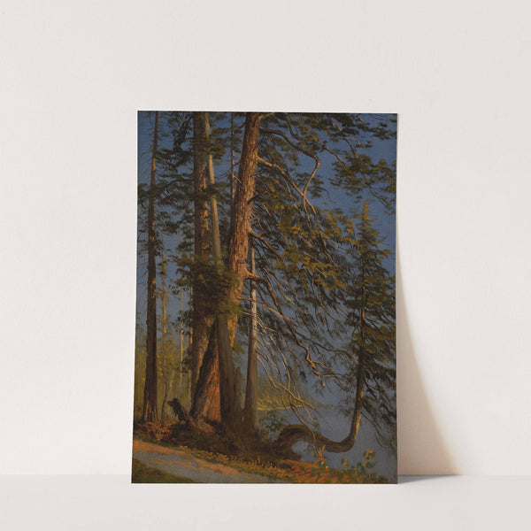 Park at Vancouver (ca 1889) by Albert Bierstadt