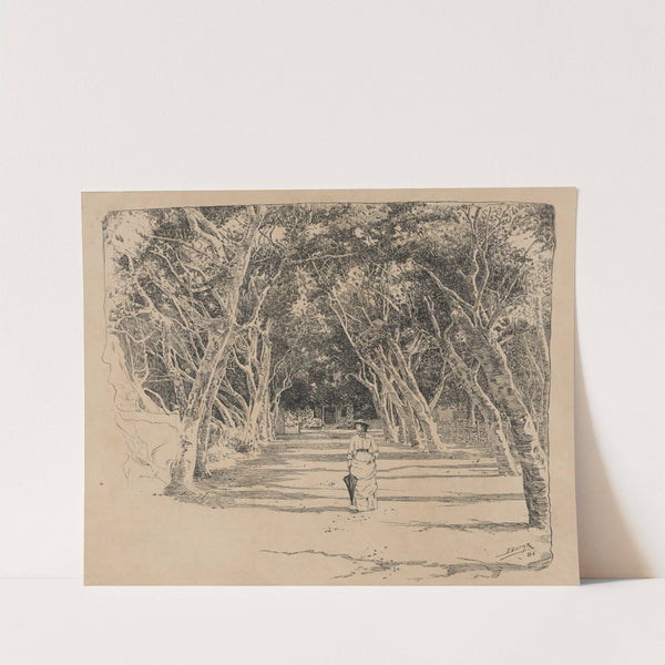 Park in Barbados (1882-1886) by Milton J. Burns