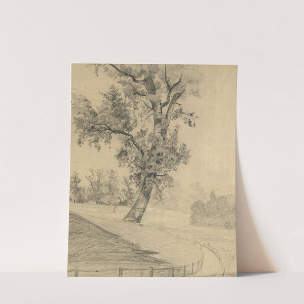 Parklandschaft (1875) by Tina Blau