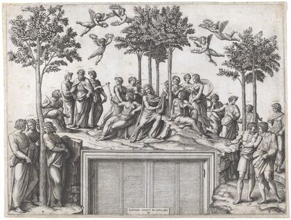 Parnassus