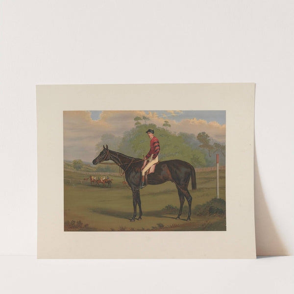 Parole; Brown Gelding by Harry Hall