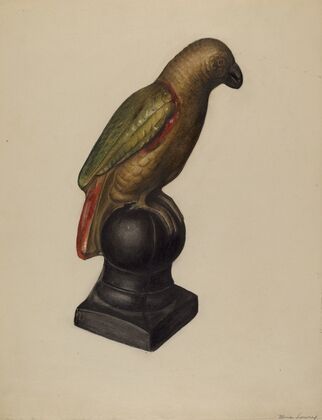 Parrot