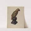 Parrot by Mina Lowry