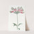 Parrot Alstromeria by Sydenham Edwards