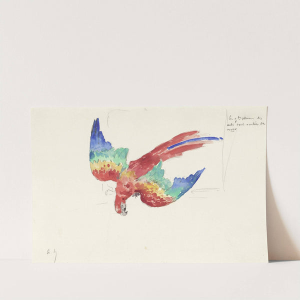 Parrot Looking Down (1873 - 1916) by Alexandre Lunois