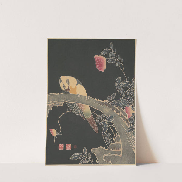 Parrot on the Branch of a Flowering Rose Bush (ca. 1900) by Itō Jakuchū