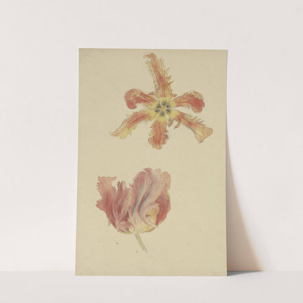 Parrot tulips by Wilhelm Steinhausen