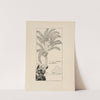 Parsee sitting in his palm tree by Rudyard Kipling