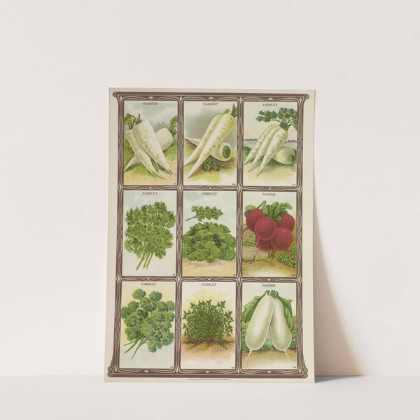 Parsnip, Parsley, Radish (1921) by Genesee Valley Lithograph Co.