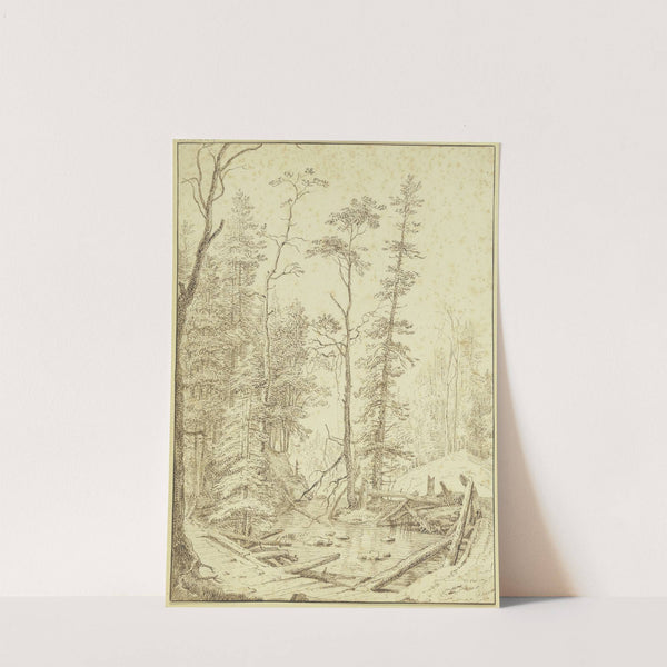 Partie in einem Tannenwald mit Wasser und einer Brück by Albert Meyeringh