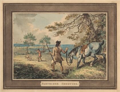 Partridge Shooting