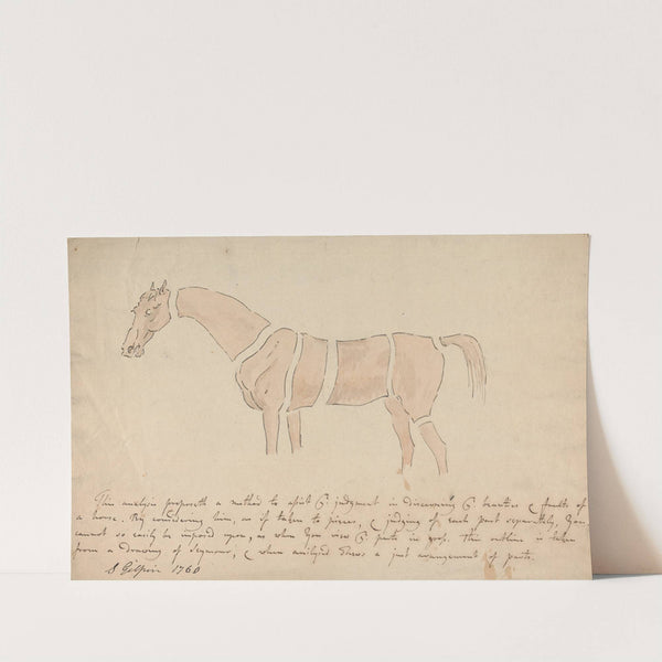 Parts of the Properly Proportioned Horse by Sawrey Gilpin