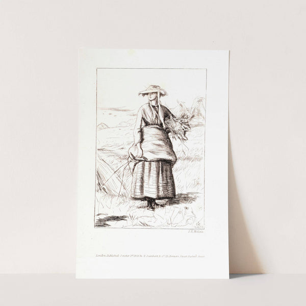 Passages from the Poems of Thomas Hood - Ruth by Sir John Everett Millais