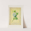 Passion flower (1869) by John Henry Ingram