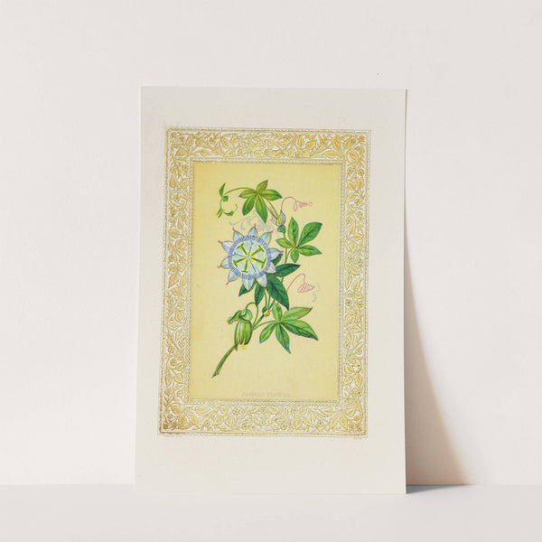 Passion flower (1869) by John Henry Ingram