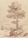 Pastoral scene with tree