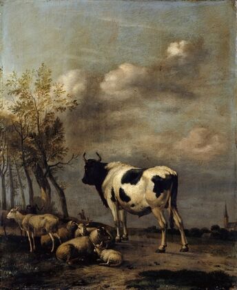 Pasturage with Black and White Bull