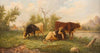Pasturing cows