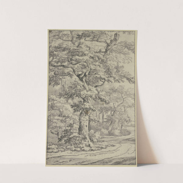 Path next to oak trees by Jan Van Kessel The Elder