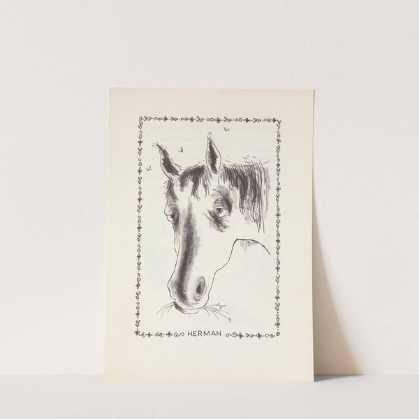 Paul’s Horse Herman Pl.02 (1958) by Harvey Weiss
