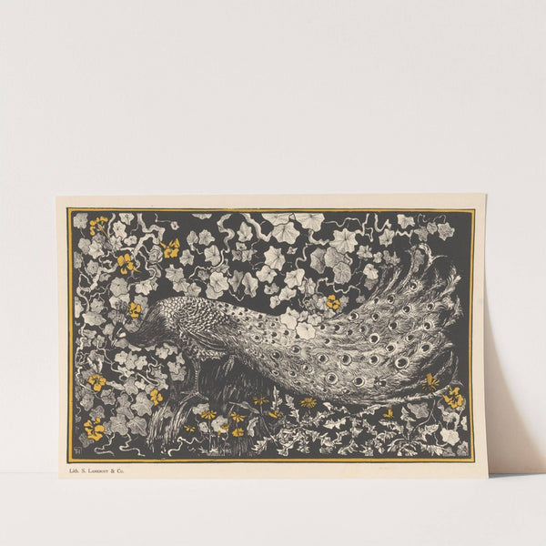 Pauw by Theo van Hoytema