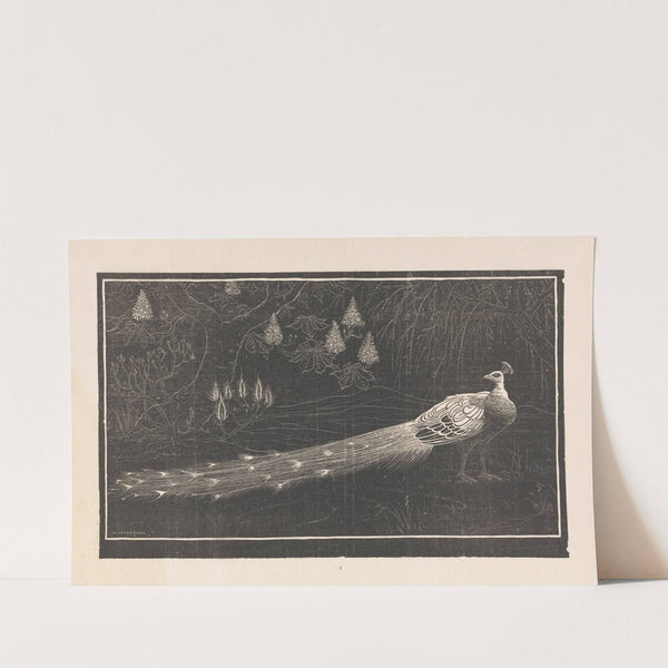 Pauw (1892-1940) by Henri Verstijnen