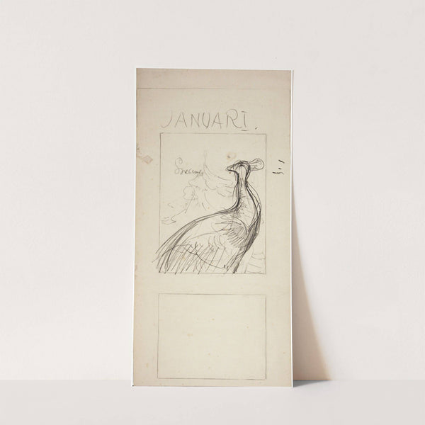 Pauw, januari by Theo van Hoytema