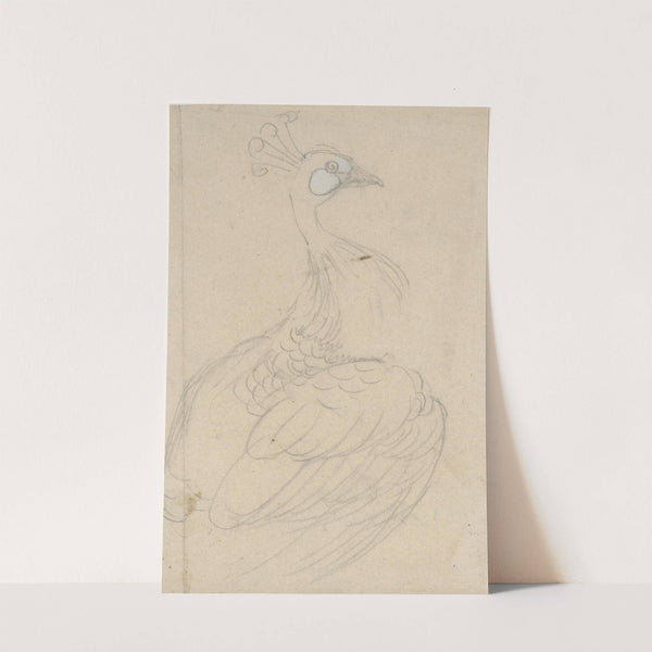 Pauw by Theo van Hoytema