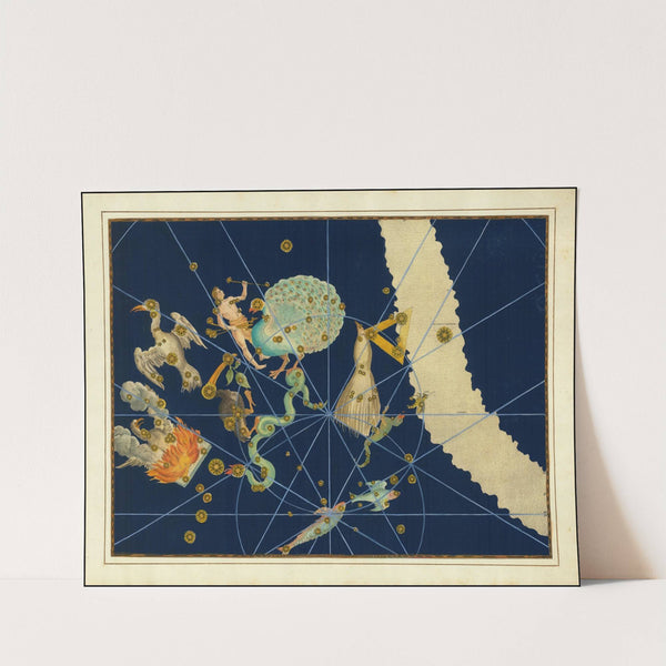 Pavo (1624) by Johann Bayer