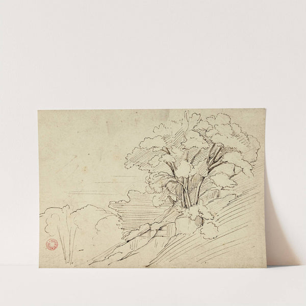 Payage (Bouquet d'arbres) by Jean-Achille Benouville