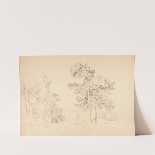 Paysage by Jacques-Raymond Brascassat