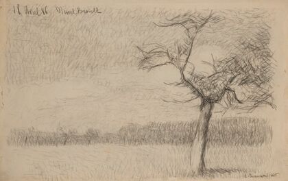 Paysage