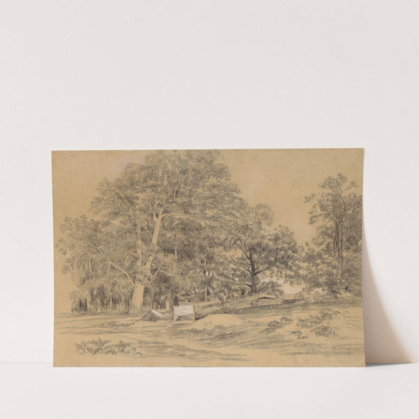 Paysage arboré by Jules Dupré