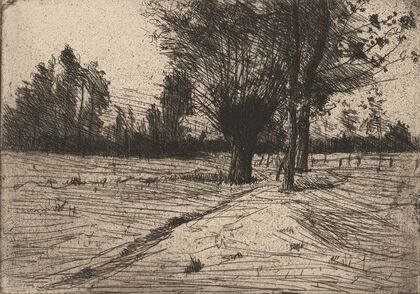 Paysage avec des arbres