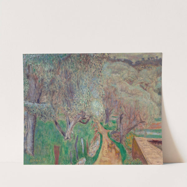 Paysage clair ou Oliviers à Cagnes by Pierre Bonnard