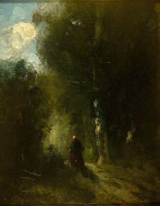 Paysage (sous-bois)