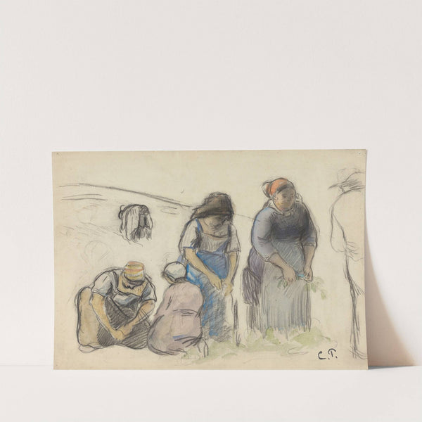 Pea Harvesters (recto) (c. 1880) by Camille Pissarro