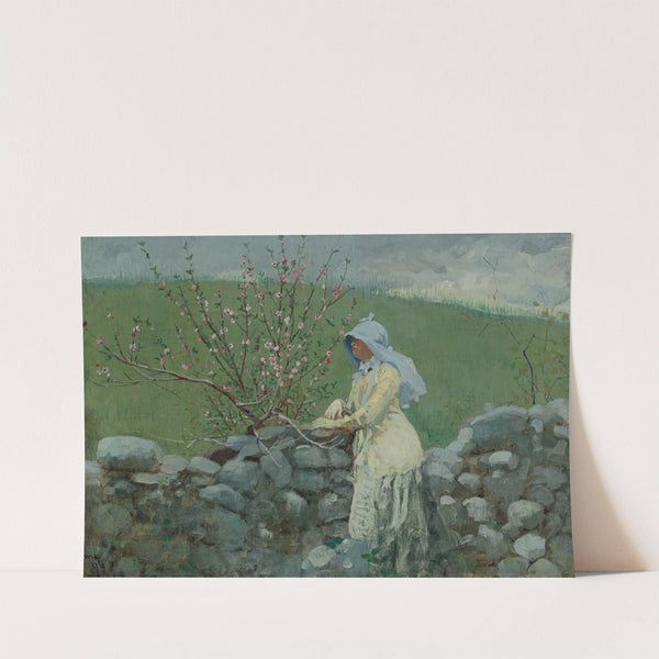 Peach Blossoms by Winslow Homer