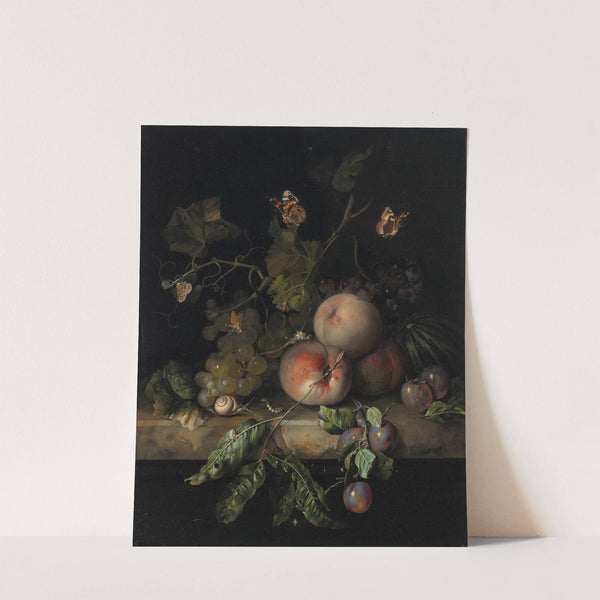 Peaches, grapes and plums with a dragonfly, snail, caterpillar, butterfly and other insects on a stone ledge by Rachel Ruysch