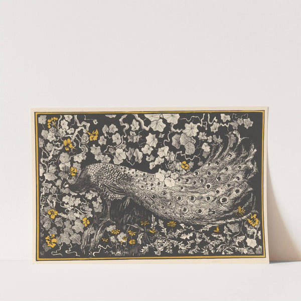 Peacock by Theo van Hoytema