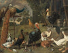 Peacock and peahen on a perch, turkeys, a pheasant and poultry by a well
