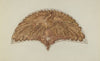 Peacock Cabin Decoration