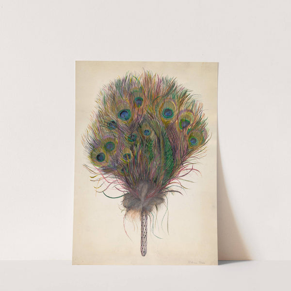 Peacock Feather Fan by Edna C. Rex