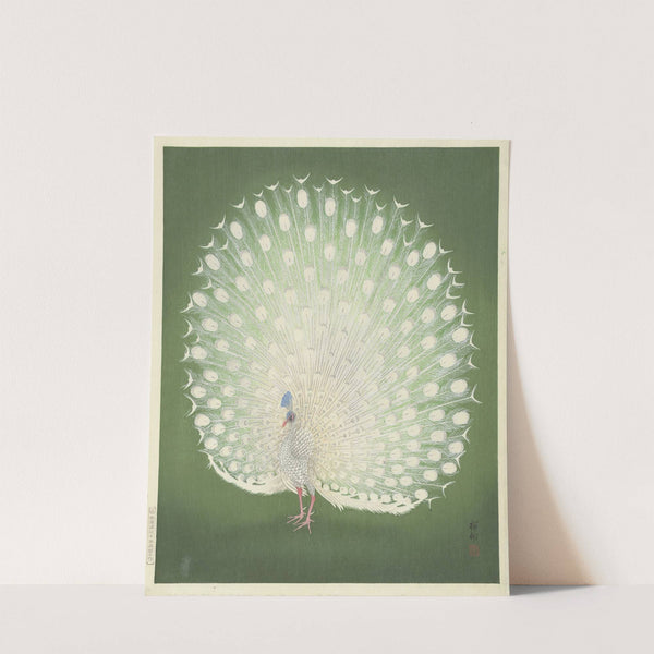 Peacock (1925 - 1936) by Ohara Koson