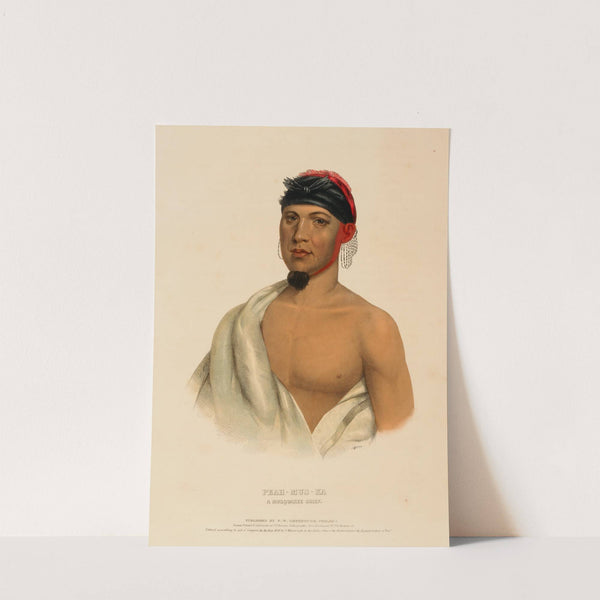 Peah-Mus-Ka. A Musquake Chief (1838) by Charles Bird King