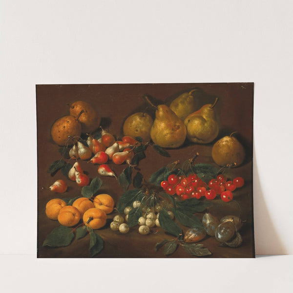 Pears, apricots, cherries and plums by Bartolomeo Bimbi