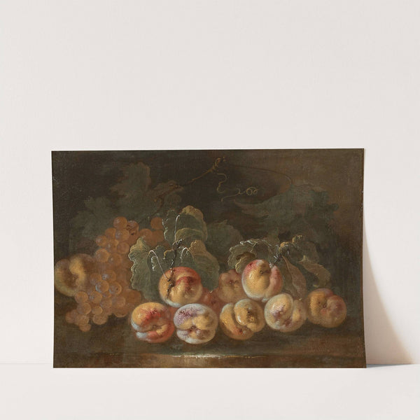 Pêches et raisins sur un entablement by Giovanni Paolo Castelli