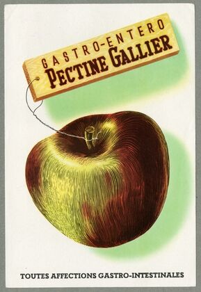 Pectine Gallier (1910-1950)